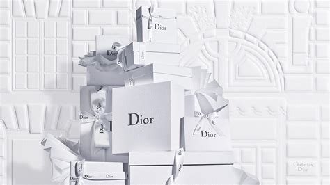 dior fr website